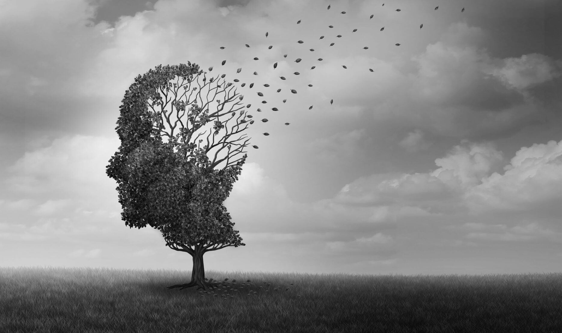 Black and white image of a solitary tree with half of its leaves shaped into a human profile, with leaves blowing away in the wind, symbolizing memory loss and the fragile boundary between presence and absence.